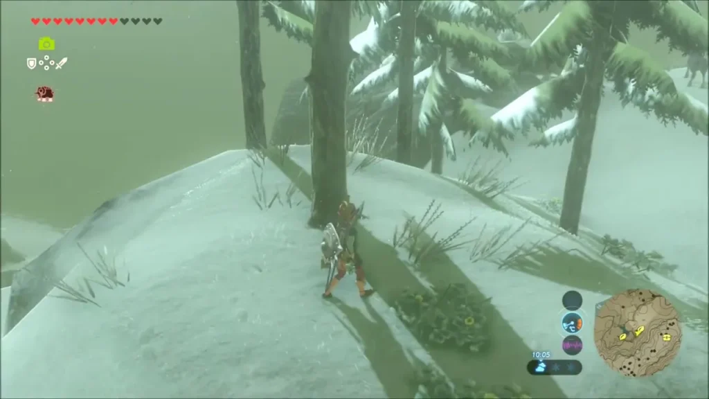 Link at the foot of a very tall bare-trunked pine on a snowy slope Link at the foot of a very tall bare-trunked pine on a snowy slope