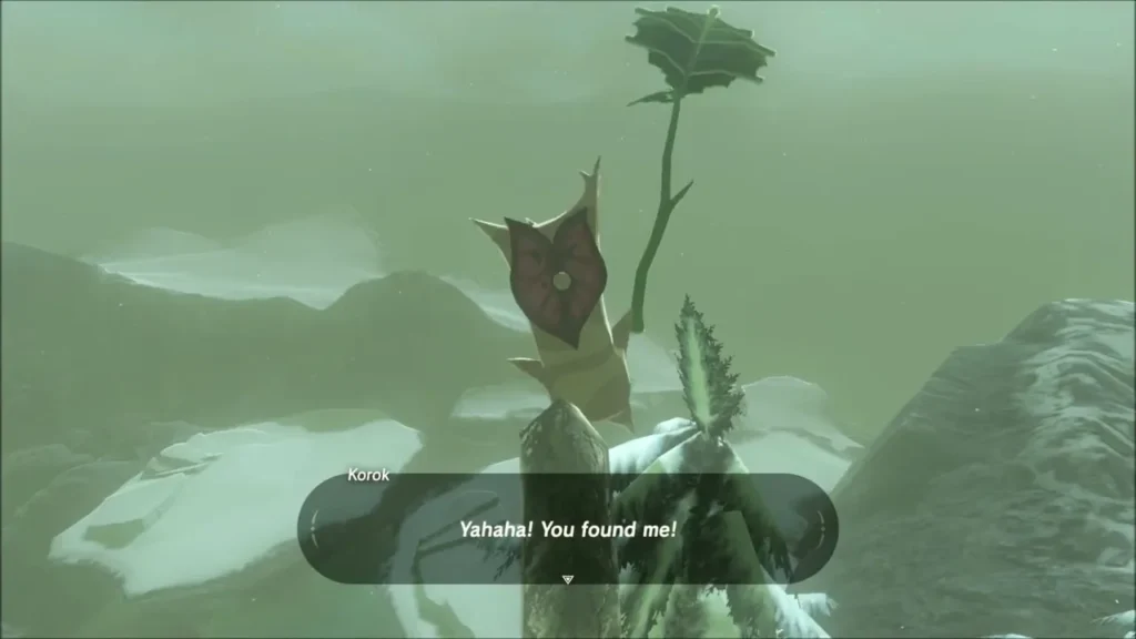 Korok at the top of the pine saying Yahaha! You found me! Korok at the top of the pine saying Yahaha! You found me!