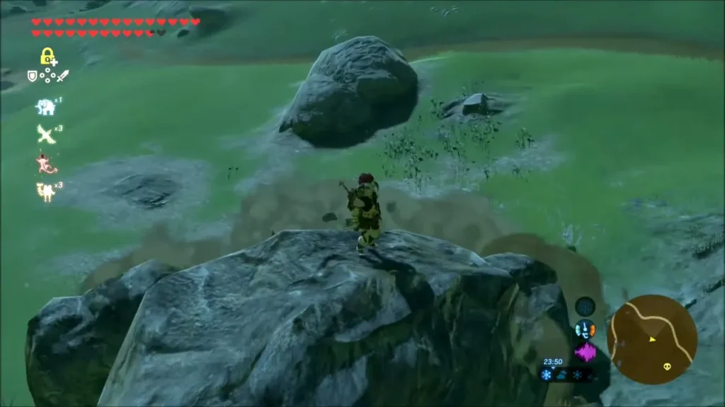 Link standing atop a dark boulder that is a Stone Talus near Lake Hylia North Link standing atop a dark boulder that is a Stone Talus near Lake Hylia North