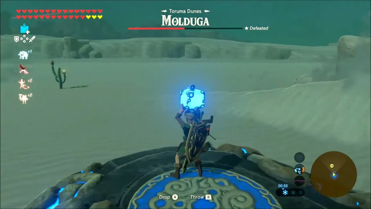 Link holding a Remote Bomb overhead on the shrine platform Link holding a Remote Bomb overhead on the shrine platform