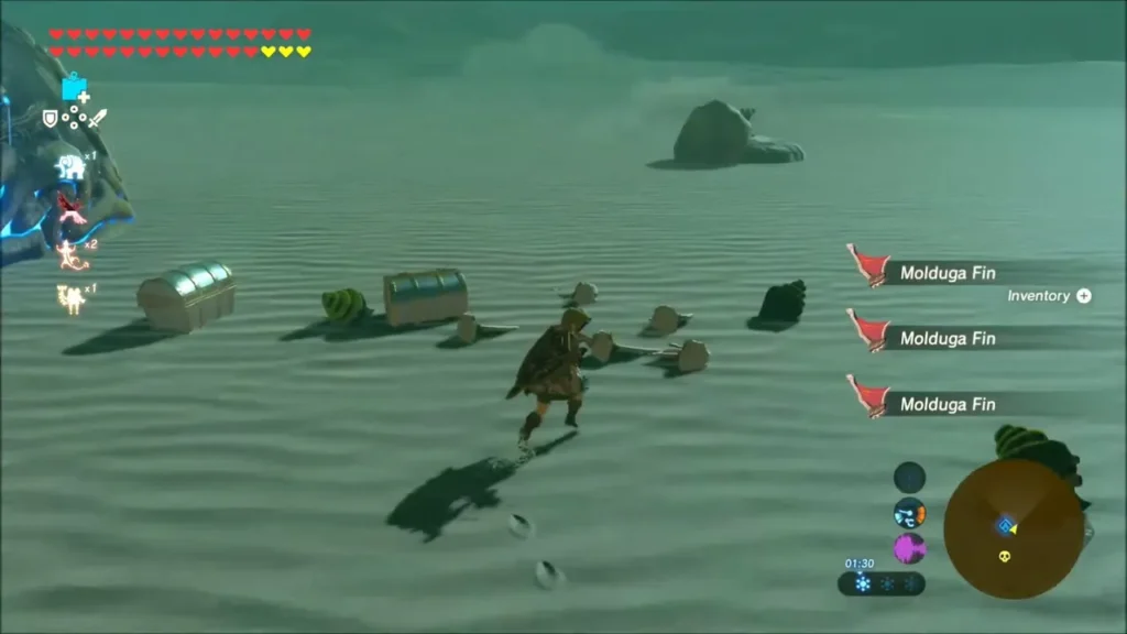 Two chests and Molduga Fin drops lying on the sand Two chests and Molduga Fin drops lying on the sand