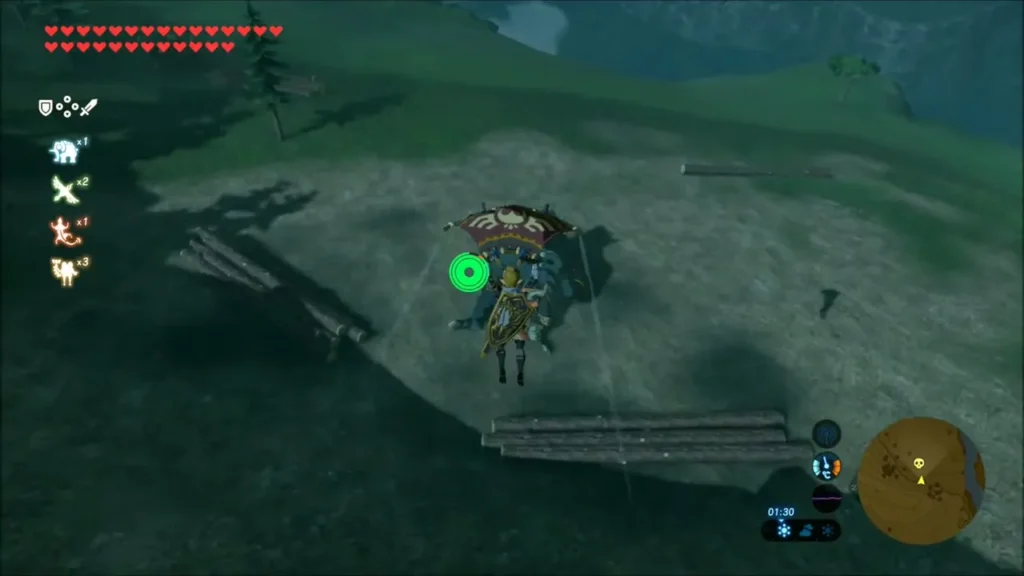 Link gliding down onto the grass north of Hyrule Castle Link gliding down onto the grass north of Hyrule Castle