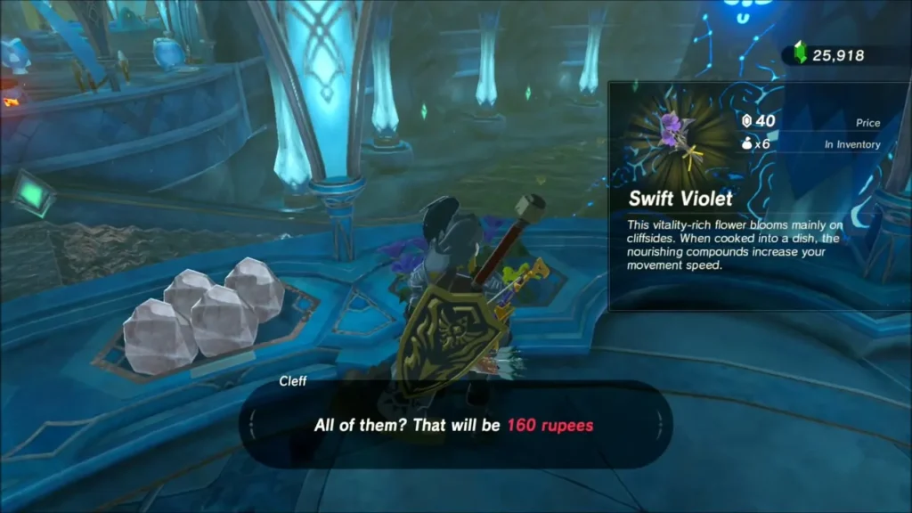 Cleff offering 160 rupees for Swift Violet beside a tray of gems in Zora's Domain Cleff offering 160 rupees for Swift Violet beside a tray of gems in Zora's Domain