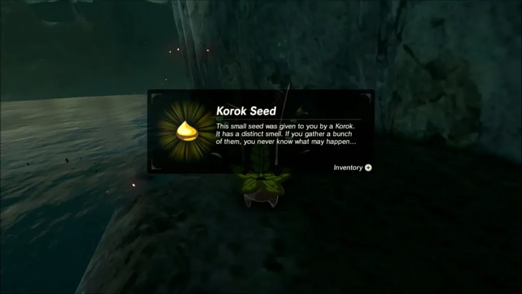 Korok handing over a Korok Seed beside the water Korok handing over a Korok Seed beside the water