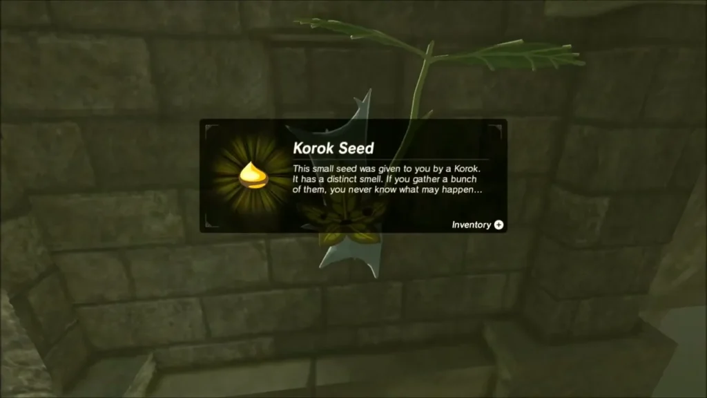 Korok Seed item box shown against the brick wall Korok Seed item box shown against the brick wall