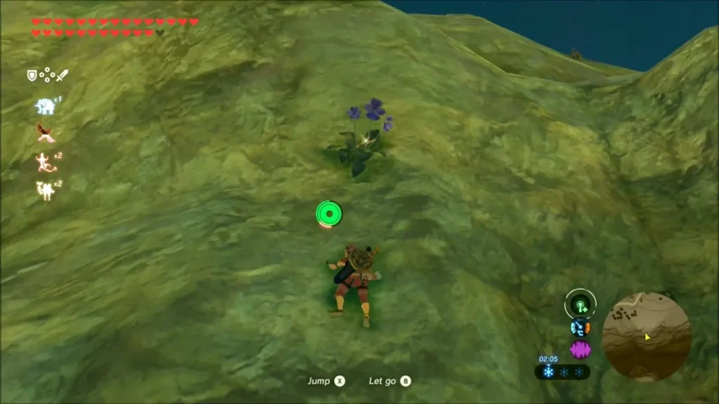 Link climbing a rock face toward a blue Swift Violet flower Link climbing a rock face toward a blue Swift Violet flower