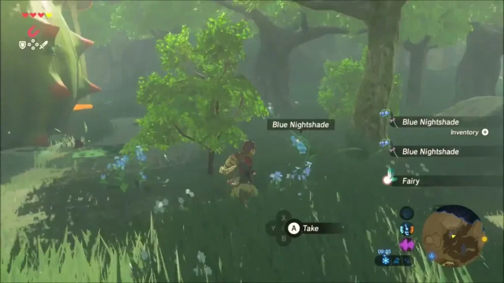 Link picking Blue Nightshade in the clearing near the giant spiky flower Link picking Blue Nightshade in the clearing near the giant spiky flower