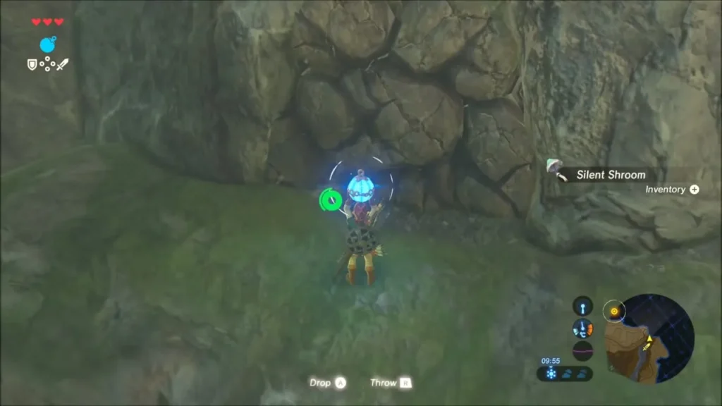 Link holding a lit bomb in front of a cracked rock wall Link holding a lit bomb in front of a cracked rock wall