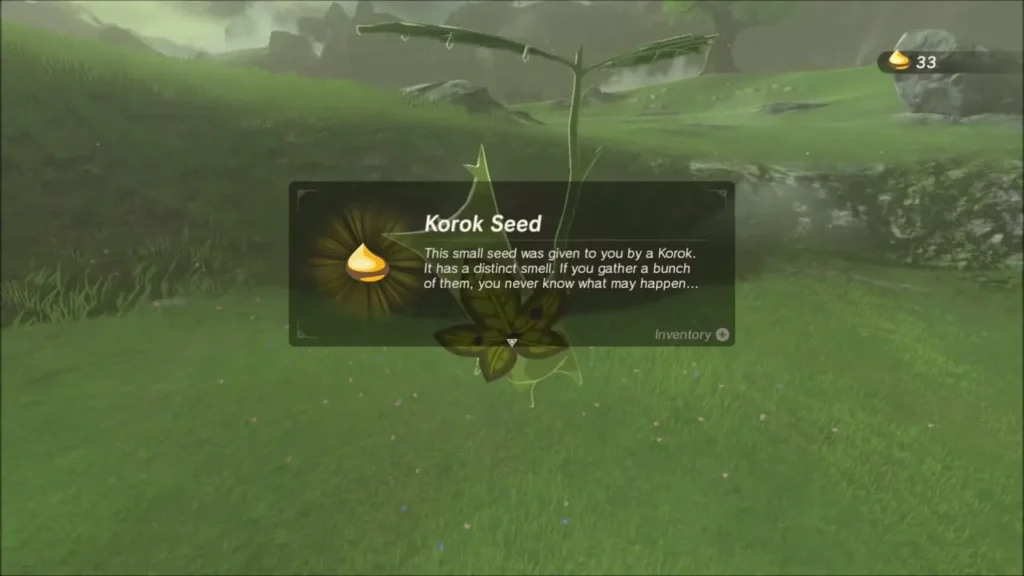 Korok Seed item box with the Korok that came out of the hole Korok Seed item box with the Korok that came out of the hole