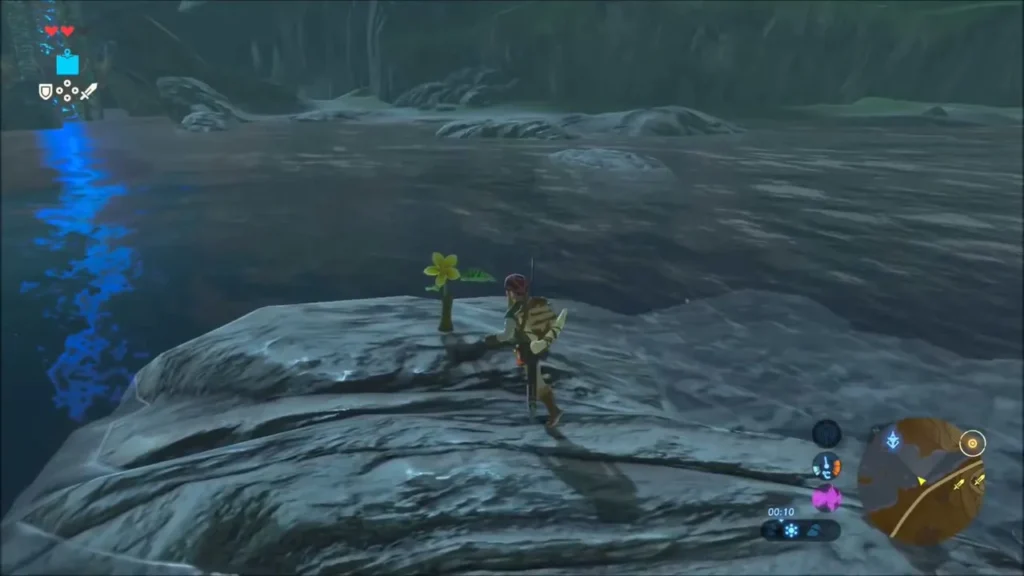 Link on a rocky island beside a single yellow flower Link on a rocky island beside a single yellow flower