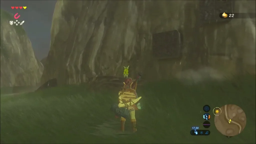 Link beside the cliff wall after taking the seed, count at 22 Link beside the cliff wall after taking the seed, count at 22