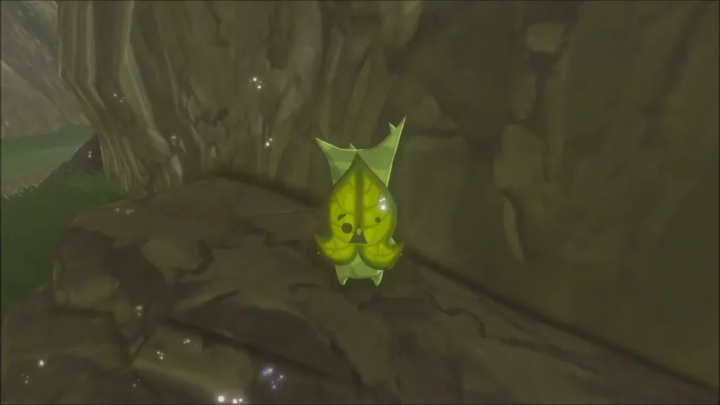 A Korok beside the cliff wall in the narrow valley A Korok beside the cliff wall in the narrow valley