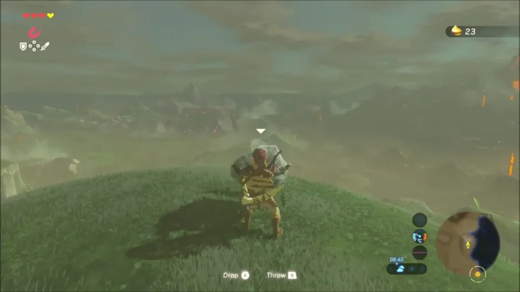 Link holding the boulder on the summit, seed count at 23 Link holding the boulder on the summit, seed count at 23