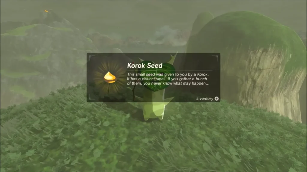 Korok Seed item box on the second round hill Korok Seed item box on the second round hill