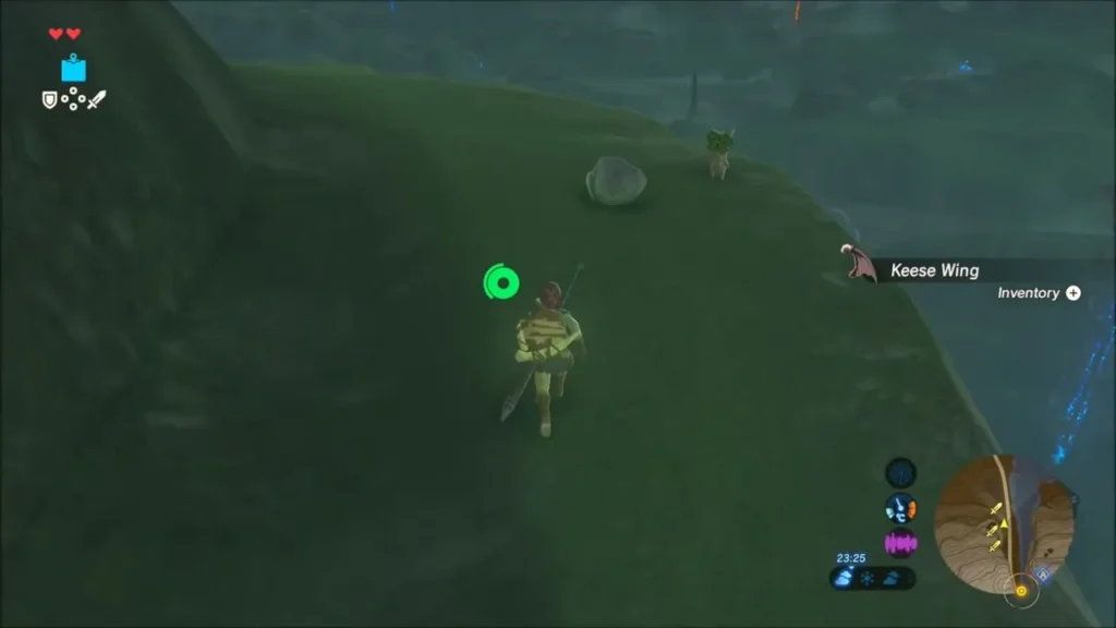 Link on a grassy slope picking up a Keese Wing Link on a grassy slope picking up a Keese Wing