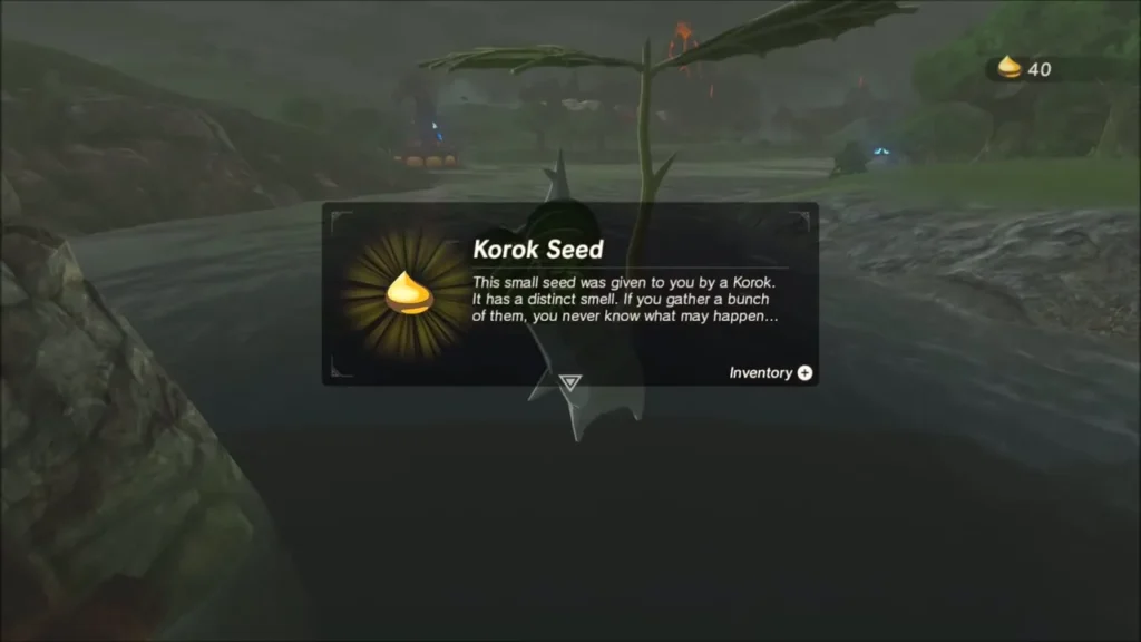 Korok Seed reward box over the river Korok Seed reward box over the river
