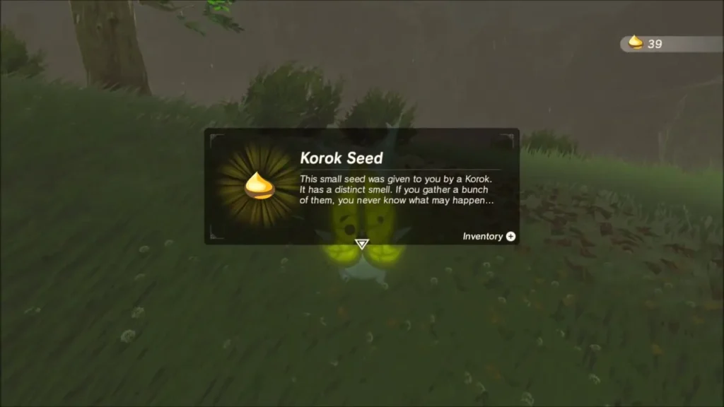 Korok Seed item box over a Korok on the grassy slope Korok Seed item box over a Korok on the grassy slope