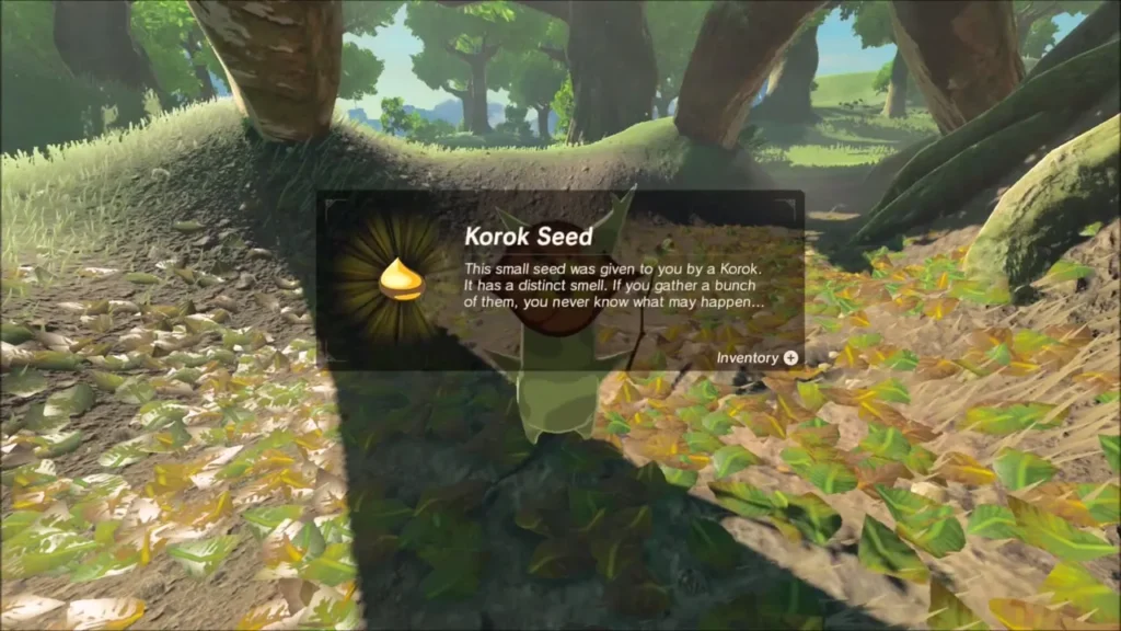Korok Seed reward box over the fallen leaf pile Korok Seed reward box over the fallen leaf pile