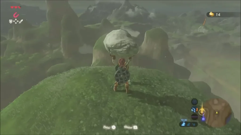 Link holding the boulder overhead with Korok Seed count 14 Link holding the boulder overhead with Korok Seed count 14