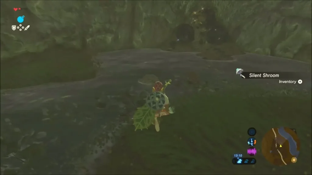 Link approaching the dark hollow with the pond covered in lily pads Link approaching the dark hollow with the pond covered in lily pads