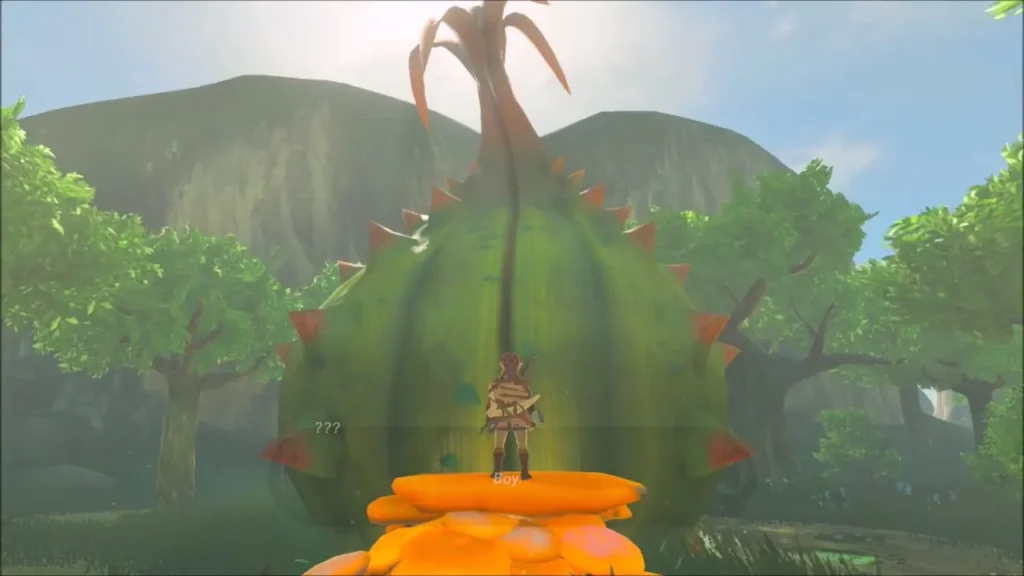 Link standing on the orange base of Cotera's giant spiky bud Link standing on the orange base of Cotera's giant spiky bud