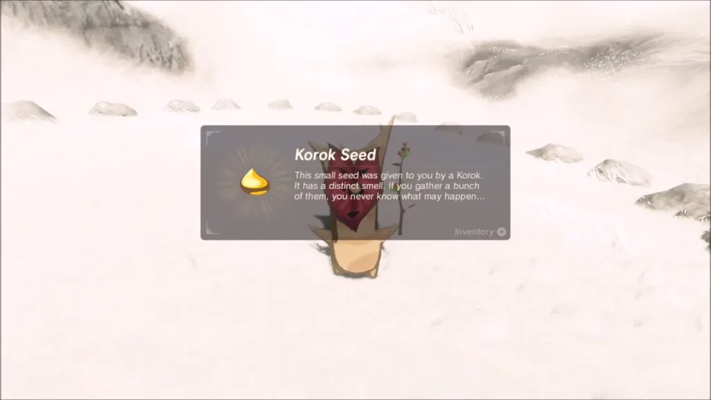 Korok Seed box over the Korok that appeared in the ring Korok Seed box over the Korok that appeared in the ring