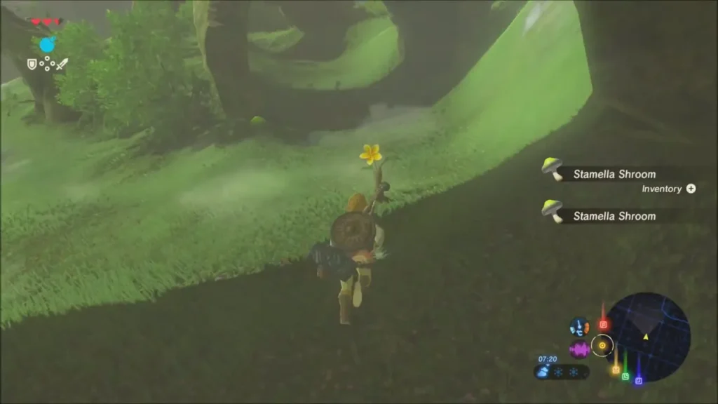 Link running along a trail of yellow flowers in a hollow Link running along a trail of yellow flowers in a hollow