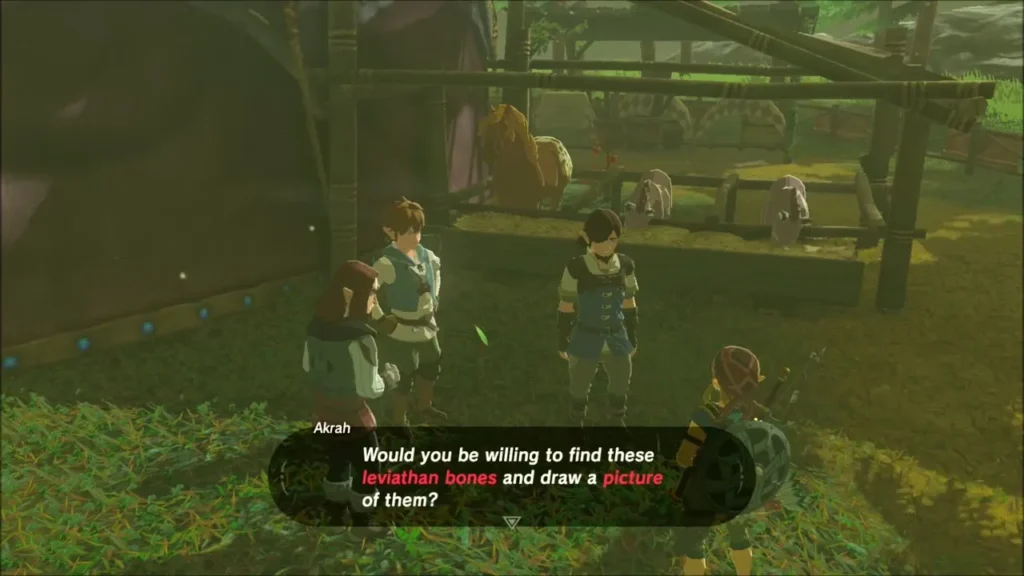 Akrah asking Link to find leviathan bones and draw a picture of them
