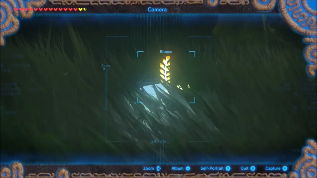 Camera rune aimed at a Blupee's glowing antlers hiding in the grass