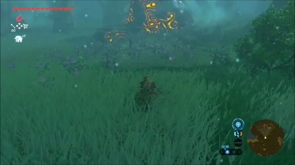 Link crouched in grass as Daag Chokah Shrine glows orange ahead