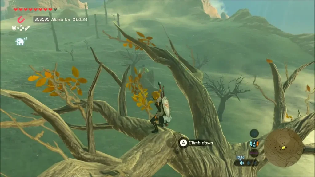 Link perched on the branches of a dead tree beside a hidden Korok