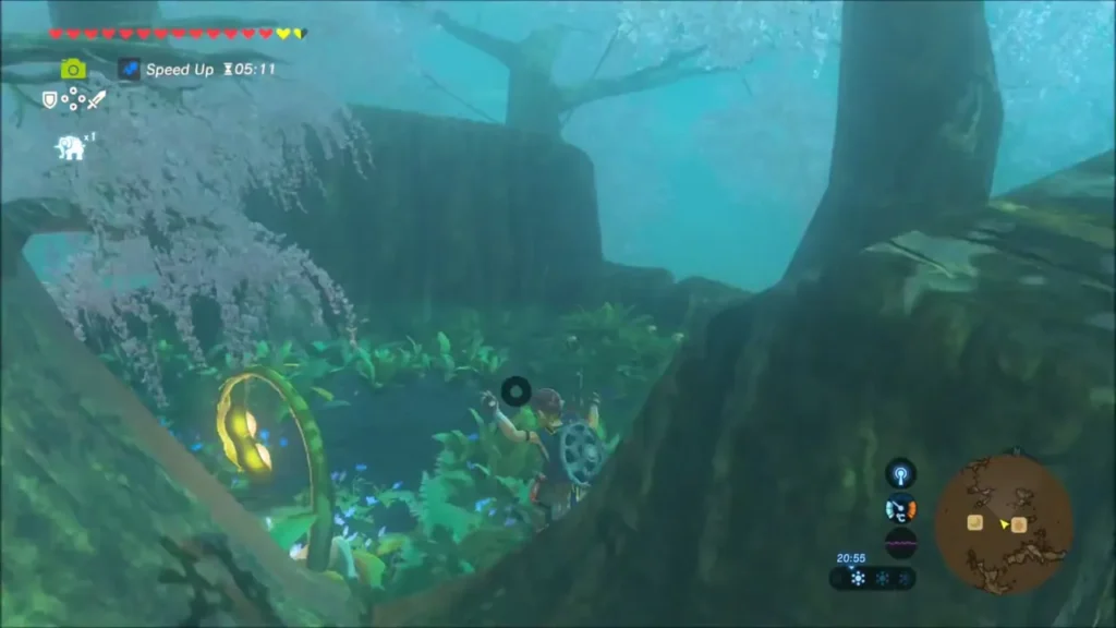 Link at the top of the Great Deku Tree beside a small pond and glowing plants