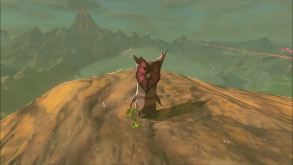 A Korok waiting in plain view on the bare mountain summit