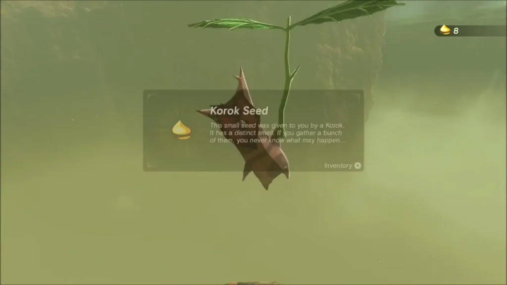 The Korok Seed name box shown over the smiling Korok