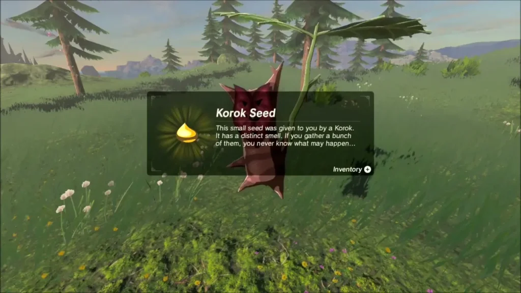 Korok Seed item box shown over a Korok in a grassy meadow