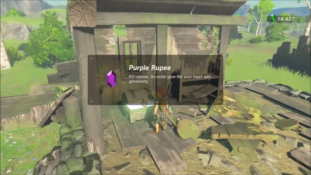 Purple Rupee worth 50 rupees received from the hut chest