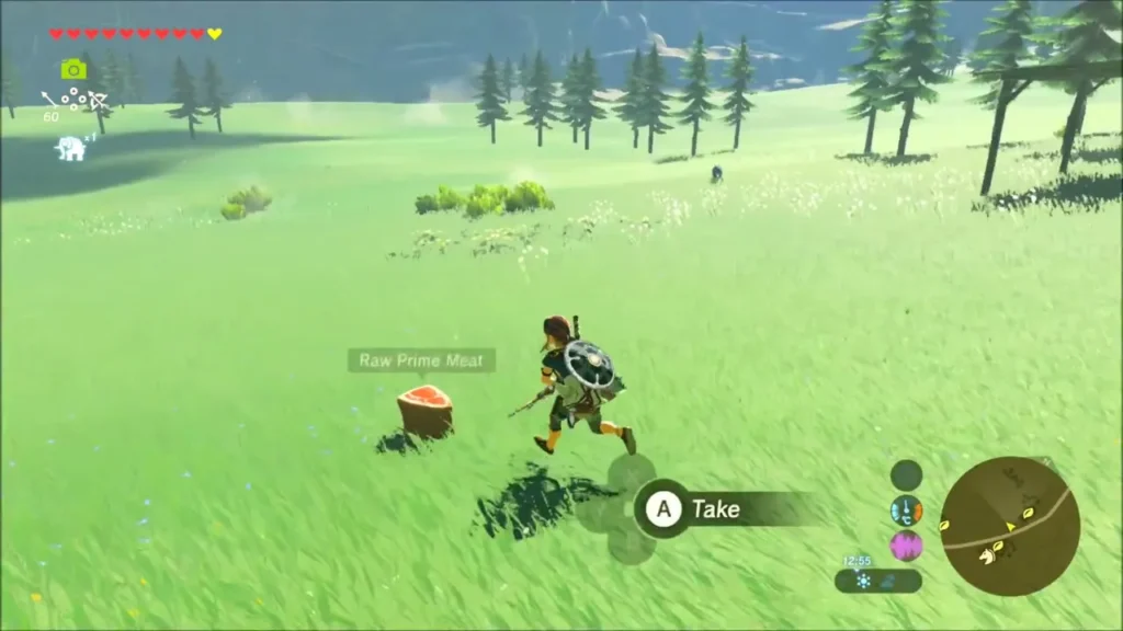Link running toward a Raw Prime Meat lying in the grass
