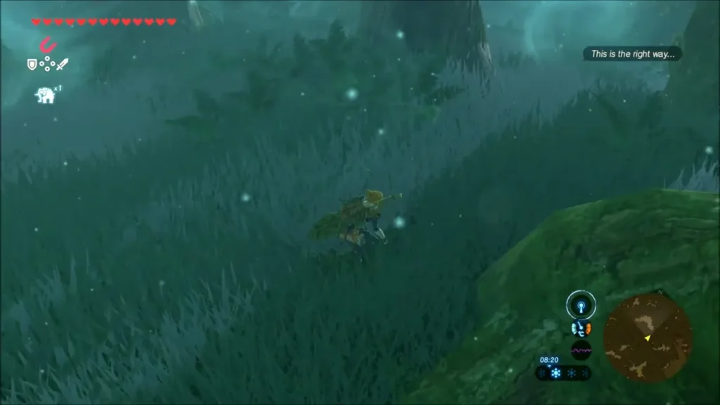 Link creeping through tall grass in the misty forest