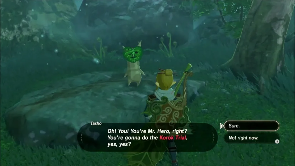 Tasho the Korok asking Link if he will do the Korok trial
