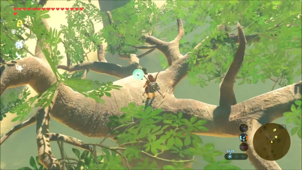 Link climbing along a thick baobab branch Link climbing along a thick baobab branch