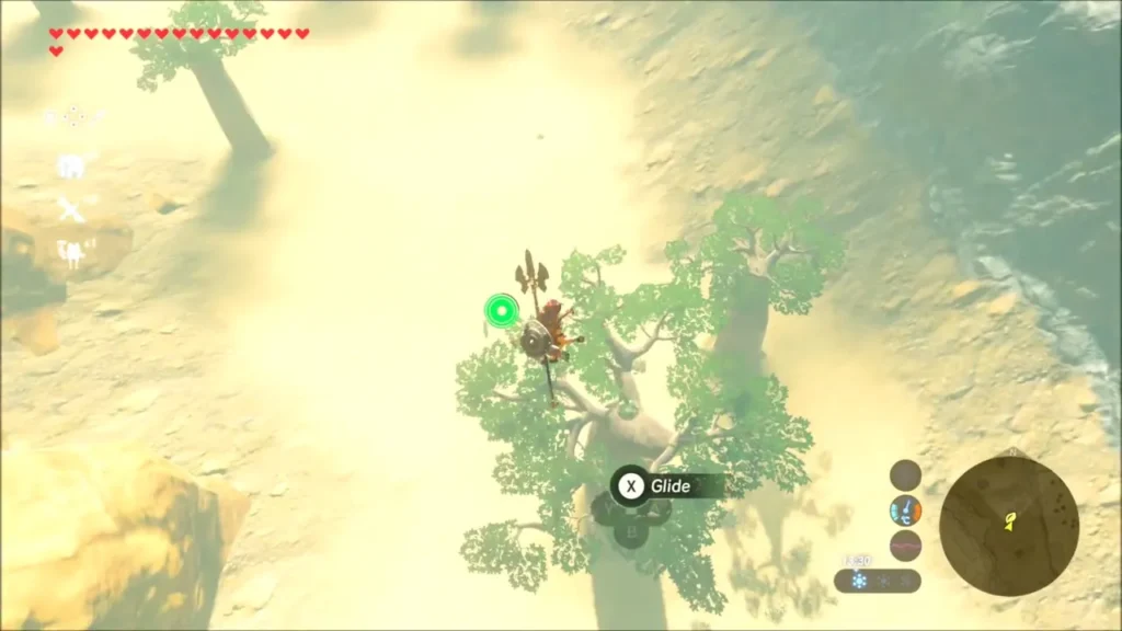 Link landing in the crown of a baobab tree Link landing in the crown of a baobab tree