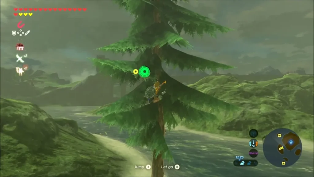 Link climbing the trunk of the pine tree Link climbing the trunk of the pine tree