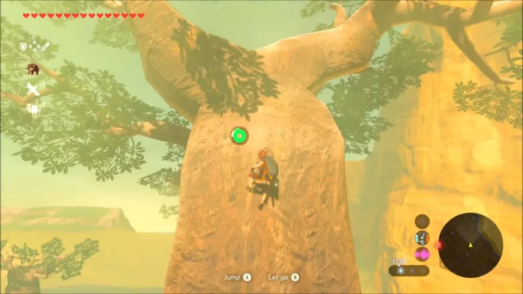 Link climbing the thick trunk of a baobab tree Link climbing the thick trunk of a baobab tree
