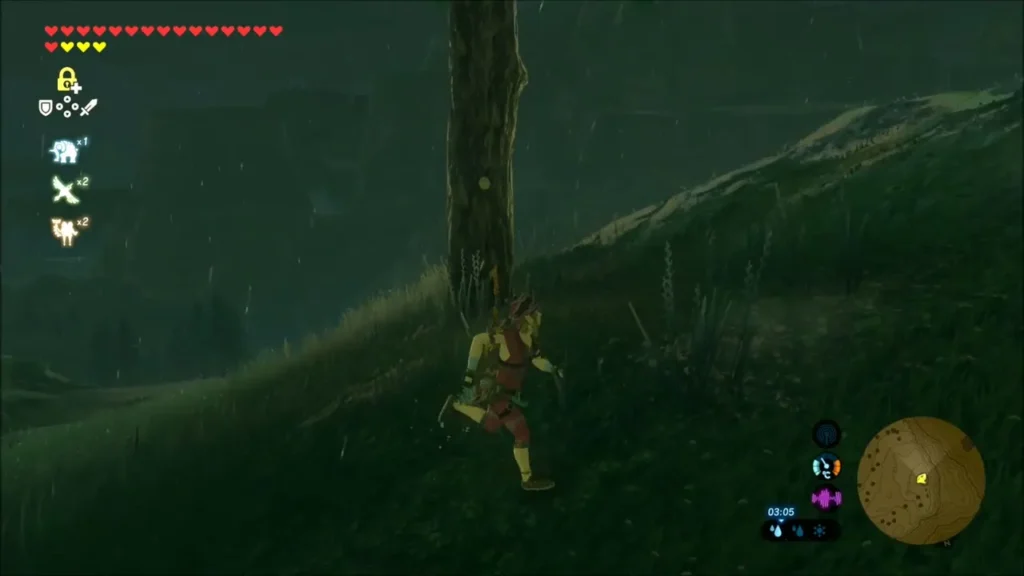Link climbing the trunk of a fir tree in the rain Link climbing the trunk of a fir tree in the rain