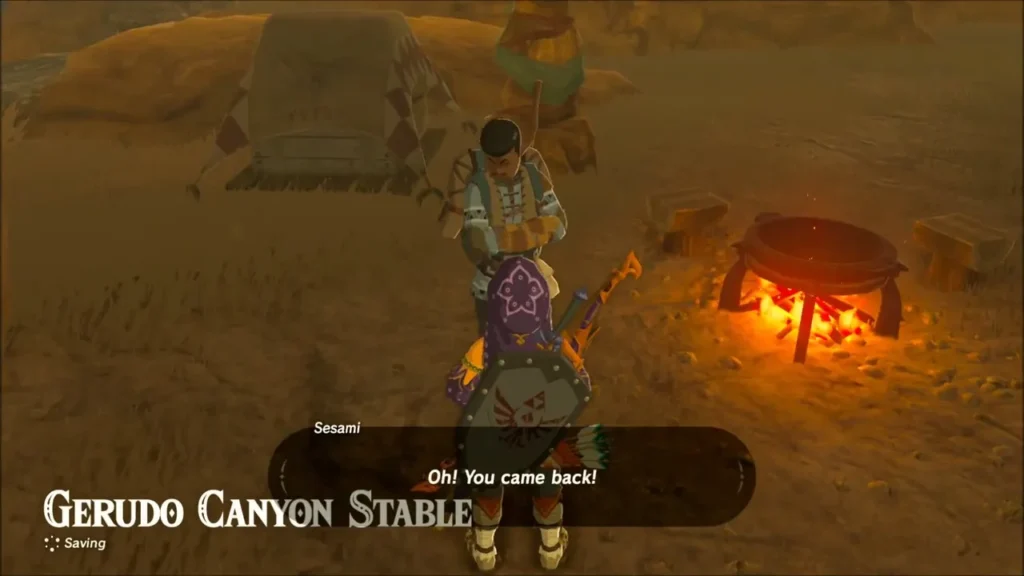 Link in the Stealth Mask talking to Sesami by the fire at Gerudo Canyon Stable Link in the Stealth Mask talking to Sesami by the fire at Gerudo Canyon Stable