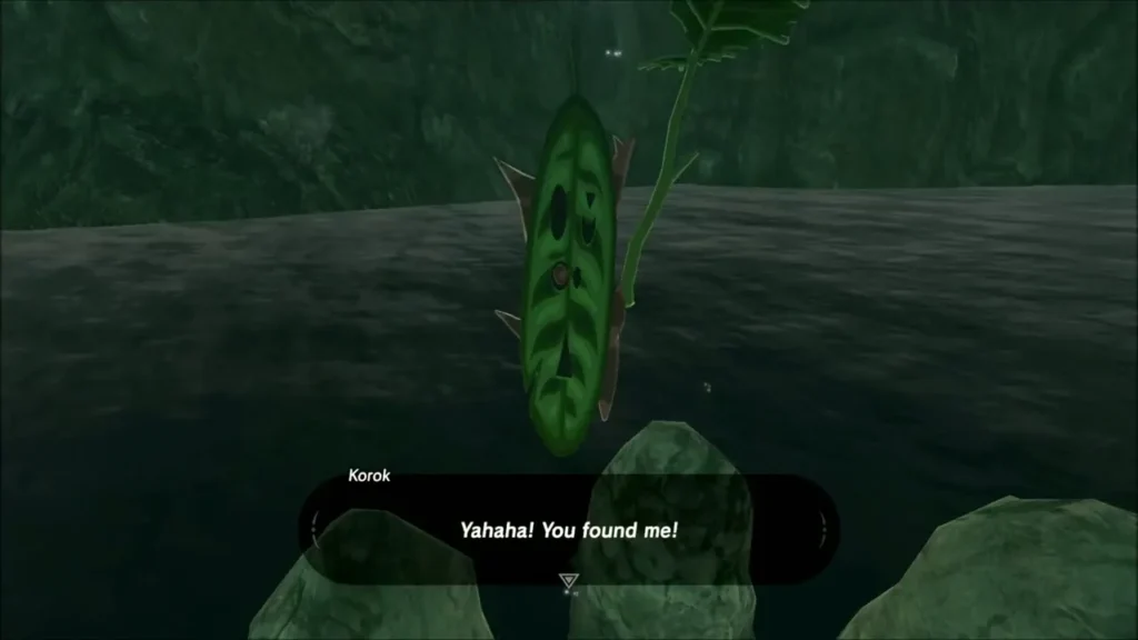 Korok on a leaf-topped rock in the stream saying he was found Korok on a leaf-topped rock in the stream saying he was found