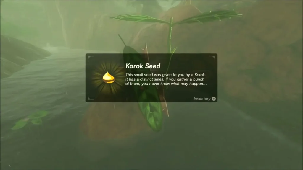 Korok Seed item box in front of a Korok leaf beside the river Korok Seed item box in front of a Korok leaf beside the river