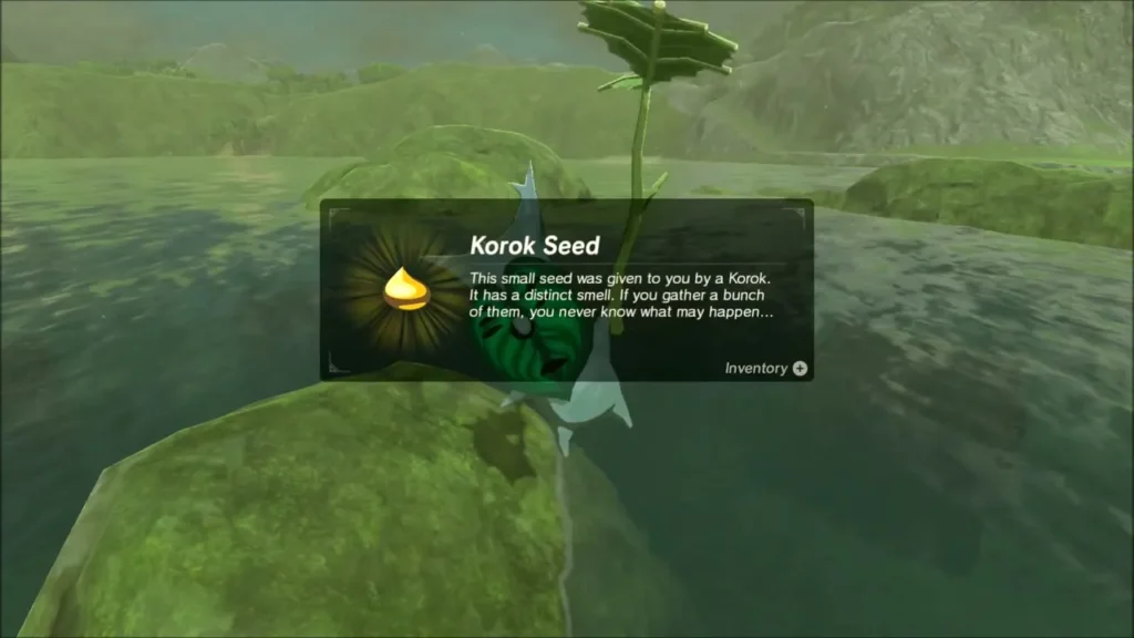 Korok seed reward from the leaf-topped rock in the lake Korok seed reward from the leaf-topped rock in the lake