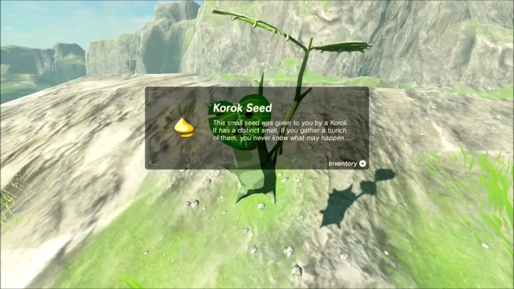 Korok seed reward from a Korok on a rocky slope Korok seed reward from a Korok on a rocky slope