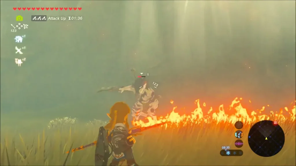 Link facing a Lynel across a line of burning grass Link facing a Lynel across a line of burning grass